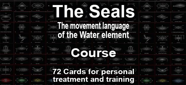 The seal cards course